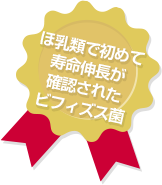 ほ乳類で初めて寿命伸長が確認されたビフィズス菌