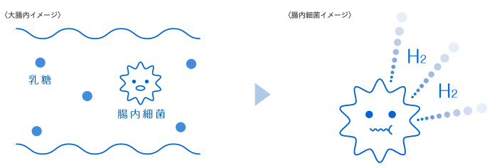 どうやって<水素>がつくられるの?