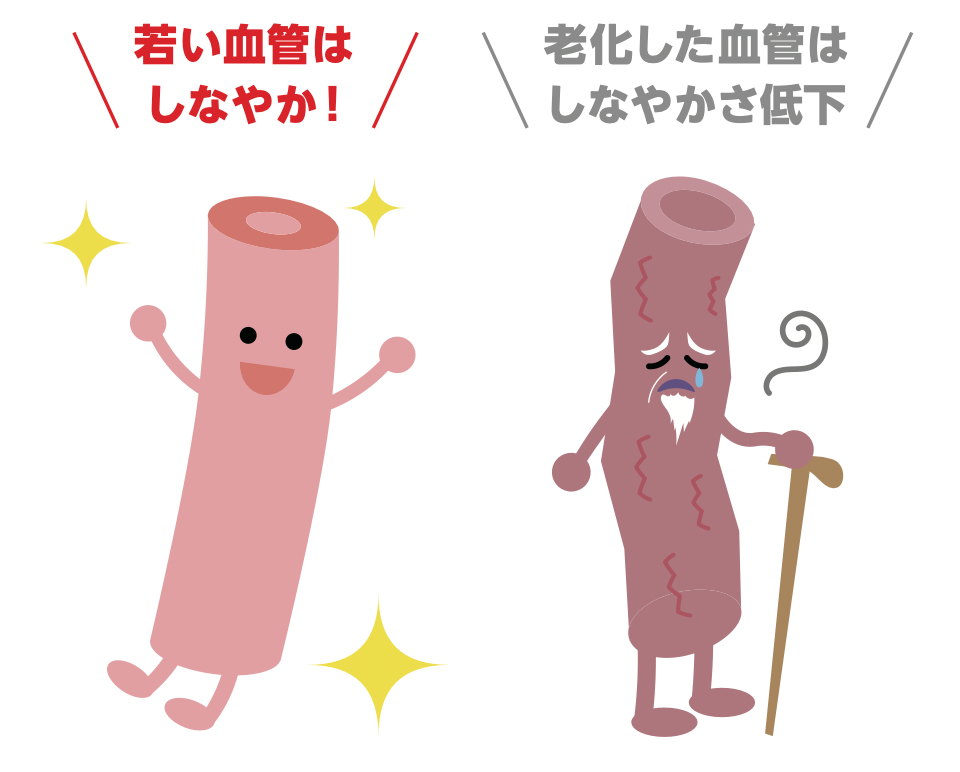 血管年齢イメージ