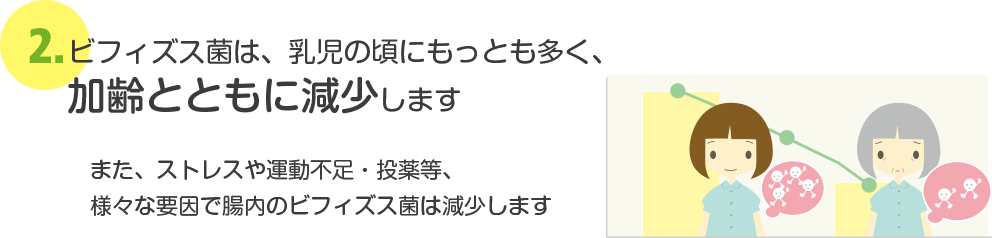 ビフィズス菌は、乳児の頃にもっとも多く、加齢とともに減少します