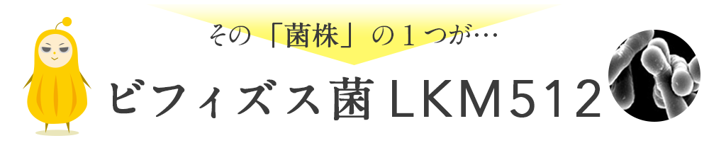 その「菌株」の1つが…ビフィズス菌LKM512