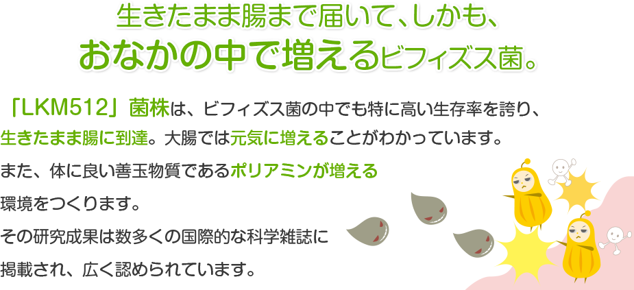 生きたまま腸まで届いて、しかも、おなかの中で増えるビフィズス菌。