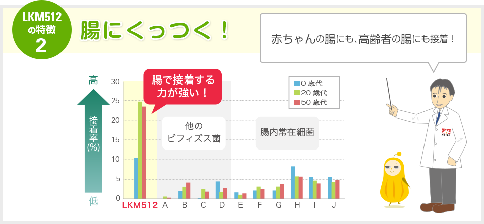 特徴その２　腸にくっつく！