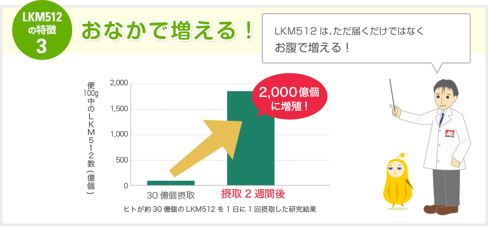 特徴その３　おなかで増える！